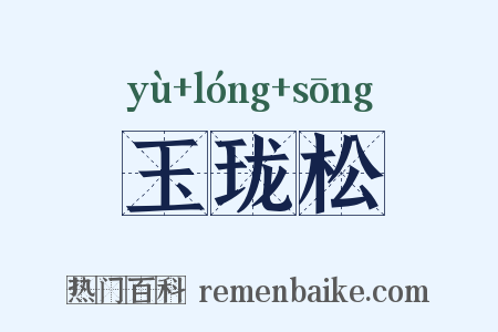 玉珑松是什么意思的图片